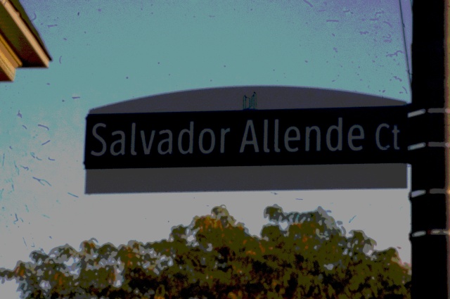 DSC05313 Allende
